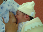 thumbs/DSC01074.JPG.png