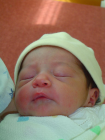 thumbs/DSC01075.JPG.png