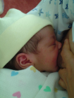 thumbs/DSC01083.JPG.png
