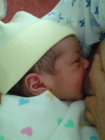 thumbs/DSC01084.JPG.png