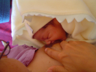 thumbs/DSC01093.JPG.png