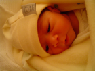 thumbs/DSC01100.JPG.png