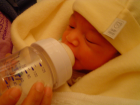 thumbs/DSC01104.JPG.png