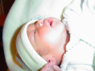thumbs/DSC01130.JPG.png