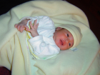 thumbs/DSC01136.JPG.png