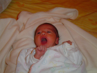 thumbs/DSC01145.JPG.png