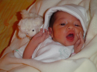 thumbs/DSC01153.JPG.png