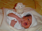 thumbs/DSC01154.JPG.png