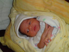 thumbs/DSC01161.JPG.png