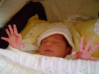thumbs/DSC01168.JPG.png