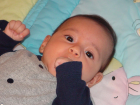 thumbs/DSC01211.png