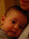 thumbs/DSC01242.png