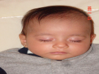 thumbs/DSC01356.png