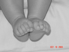 thumbs/DSC01435.png