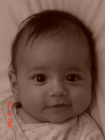 thumbs/DSC01457.png